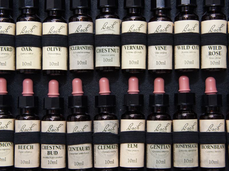 38款花精一覽：巴哈花精的應用指南-解析巴哈花精的應用方法和益處