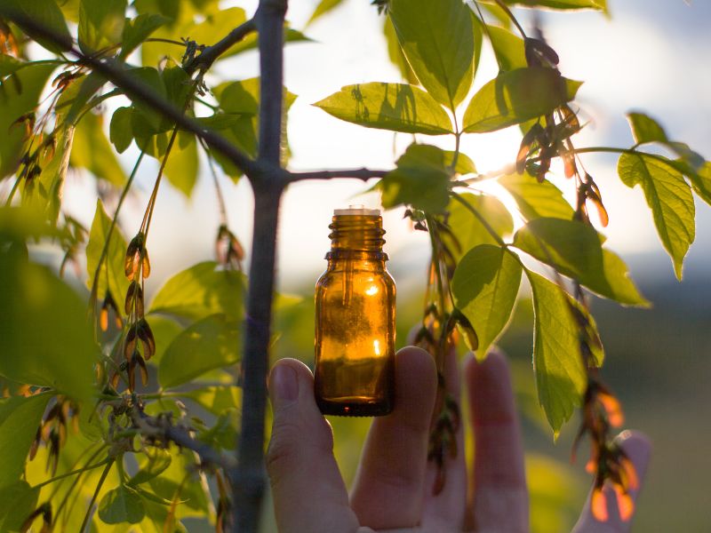 巴哈花精療法解析：平衡情緒的自然之道 – 認識花精療法，實現情緒平衡和整體幸福