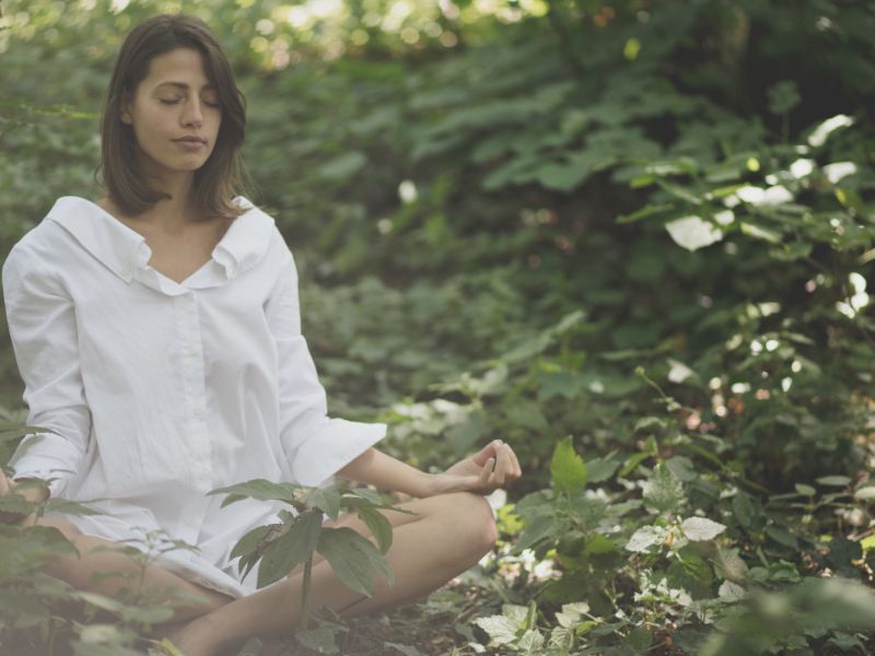 巴哈花精：尋找內在平靜的心靈之旅-達到身心靈完整平衡的祕訣