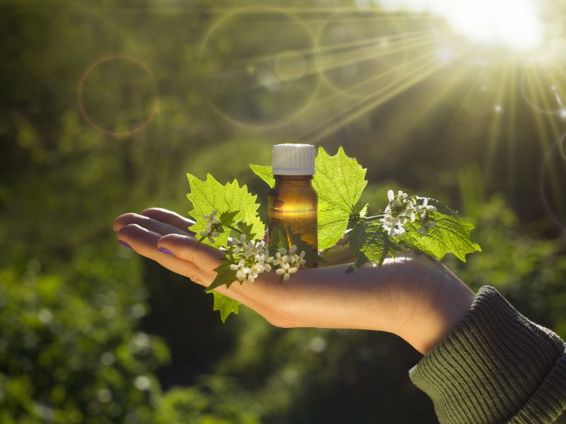 情緒的祕密武器：巴哈花精如何影響我們的心靈
