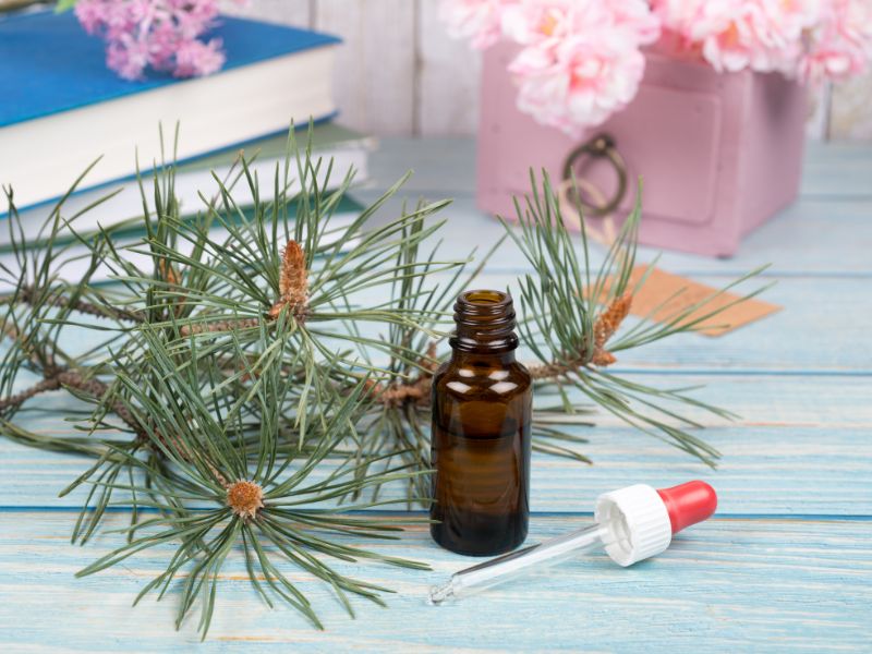 自然的療癒力量：巴哈花精的靈性啟示-發現內在和諧的祕密