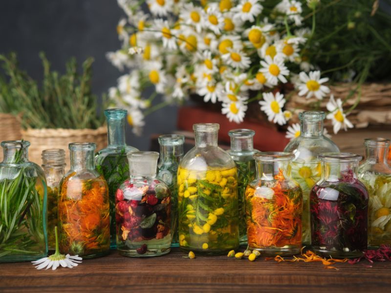 花卉的力量：巴哈花精在心靈療癒中的角色