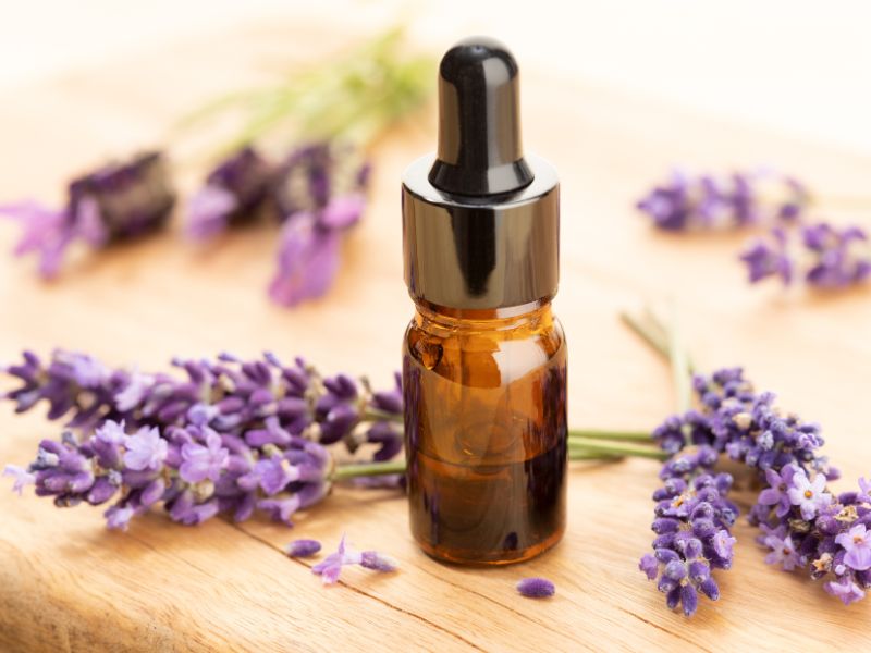 花朵的靈魂：深入瞭解巴哈花精的奧祕：揭開花精的獨特意義及神祕性