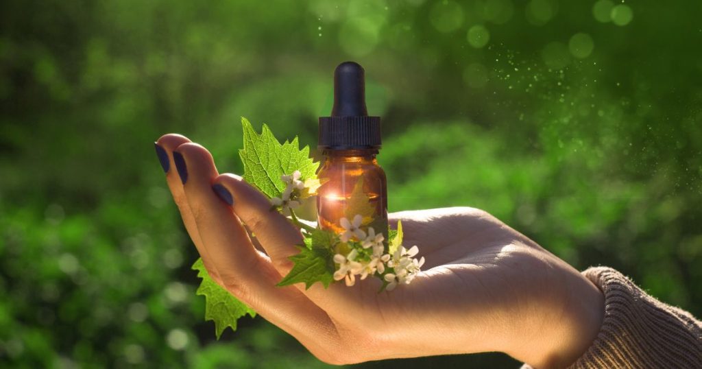 Bach花精38種：完整清單與療癒用途（下）