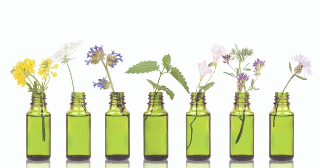如何選擇適合自己的花精？簡單入門指南