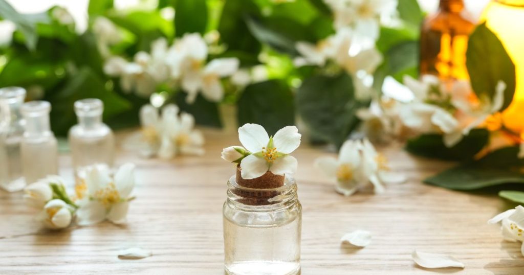 調節情緒起伏：Bach花精平衡內在的秘訣