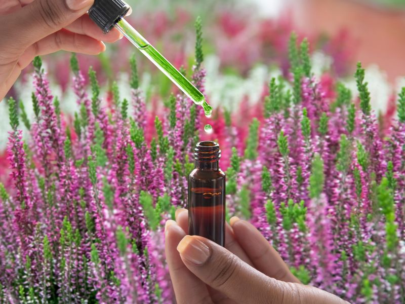 花精療法入門：用自然能量調整情緒，迎向健康快樂人生